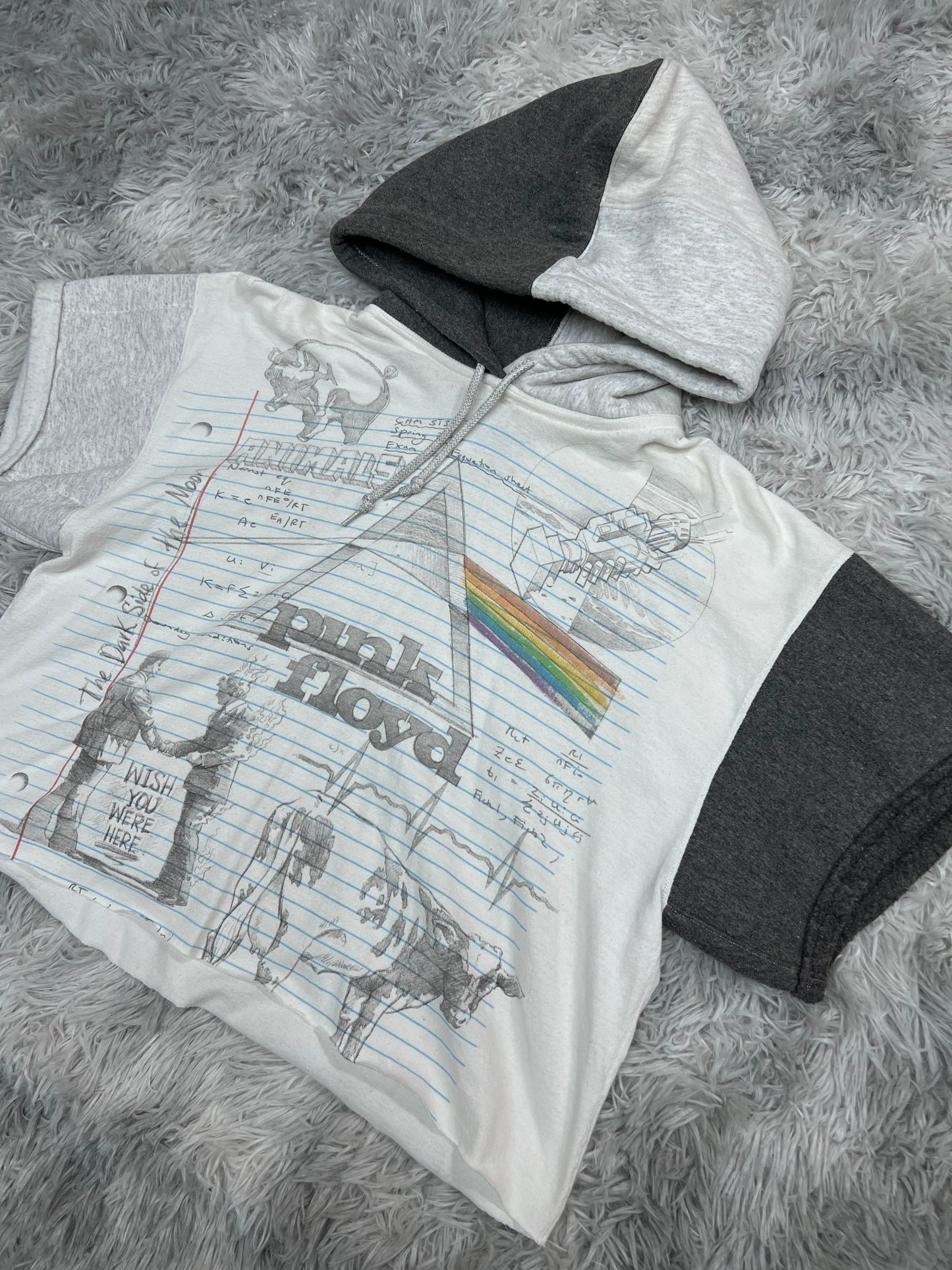 Pink Floyd Hooded Cropped T-shirt