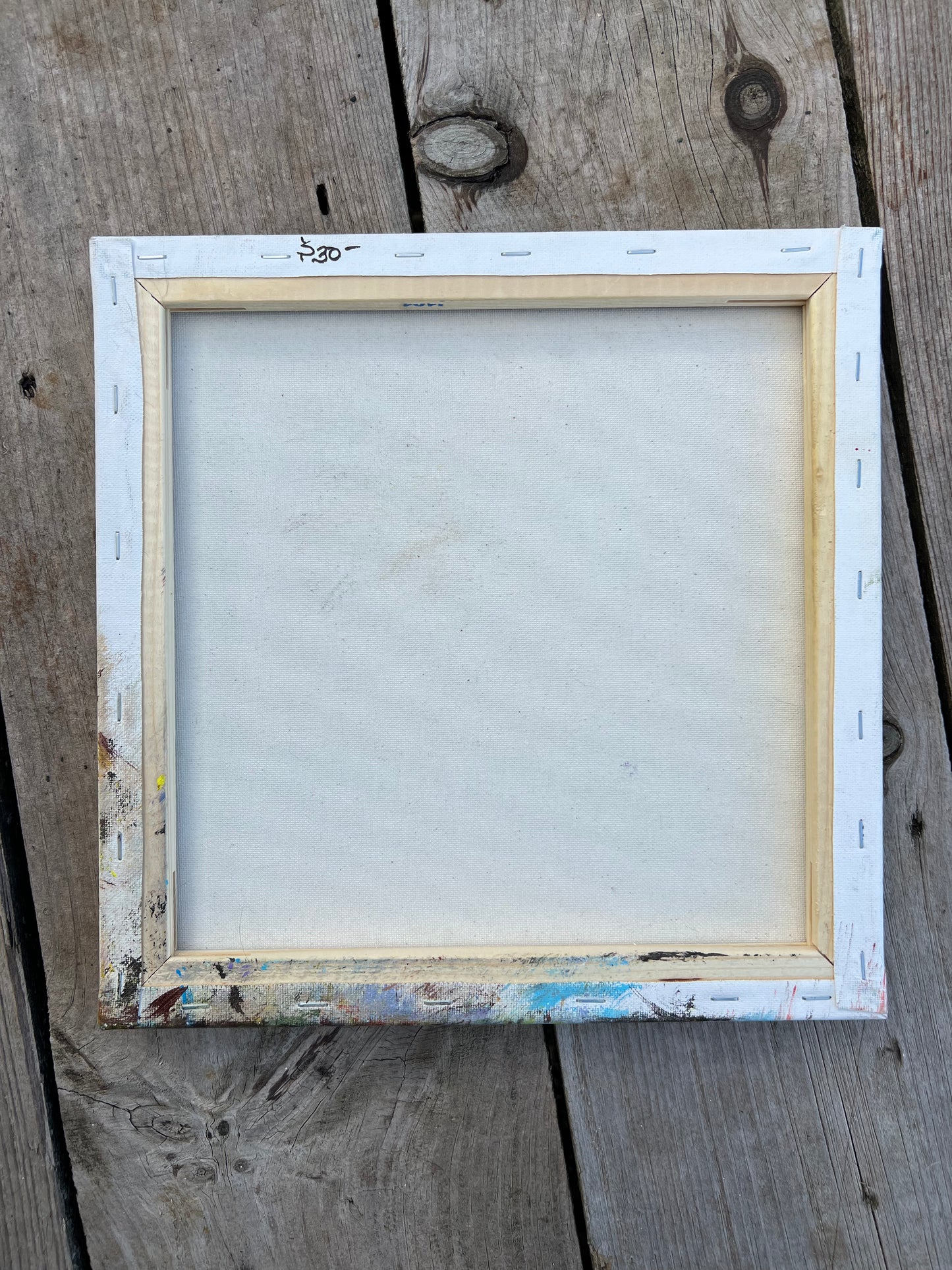 Hand Painted Nature Scene