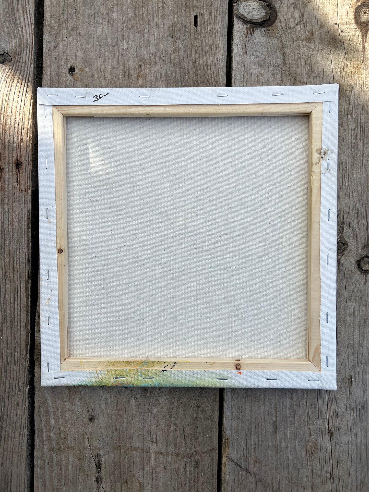 Hand Painted Nature Scene